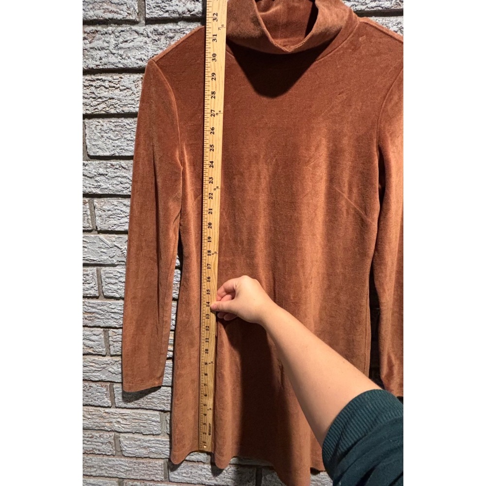 Everlane Rust Brown Velour Turtleneck Long Sleeve Mini Dress Small - Picture 3 of 7